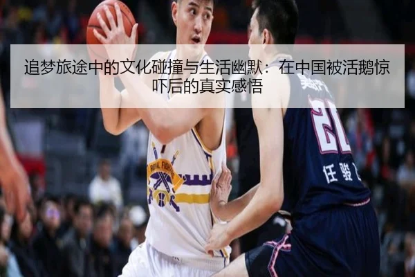 追梦旅途中的文化碰撞与生活幽默：在中国被活鹅惊吓后的真实感悟